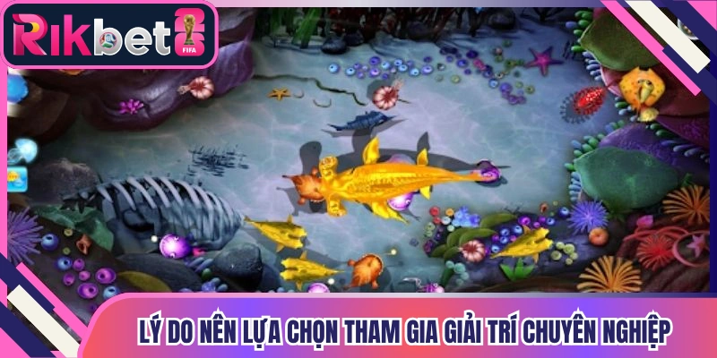 Lý do nên lựa chọn tham gia giải trí chuyên nghiệp