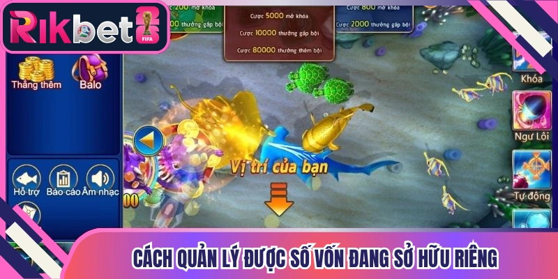 Cách quản lý được số vốn đang sở hữu riêng