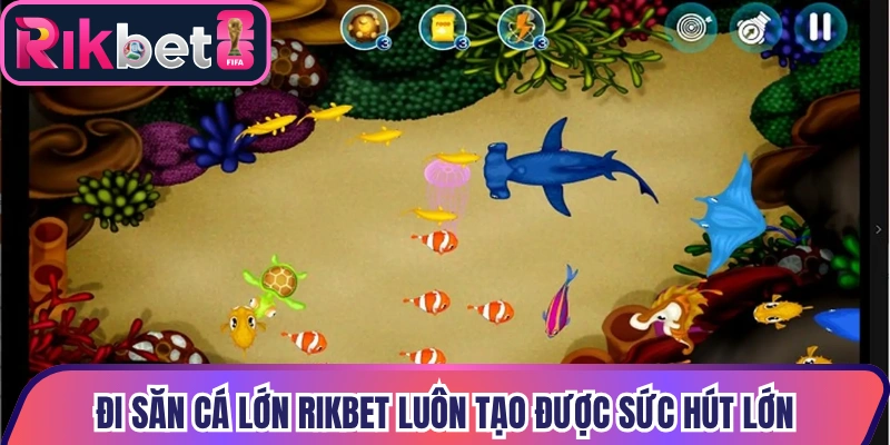 Đi săn cá lớn Rikbet luôn tạo được sức hút lớn