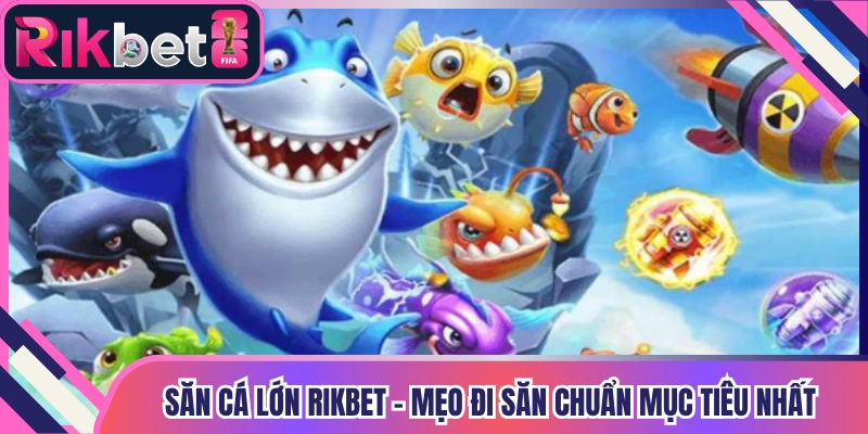 Săn Cá Lớn Rikbet - Mẹo Đi Săn Chuẩn Mục Tiêu Nhất