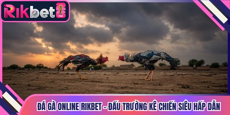 Đá Gà Online Rikbet - Đấu Trường Kê Chiến Siêu Hấp Dẫn