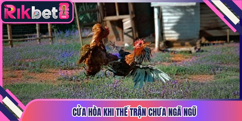 Cửa hòa khi thế trận chưa ngã ngũ