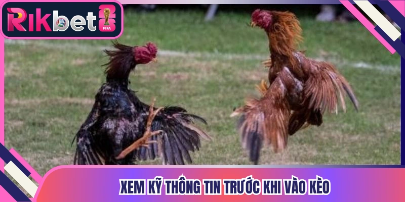 Xem kỹ thông tin trước khi vào kèo