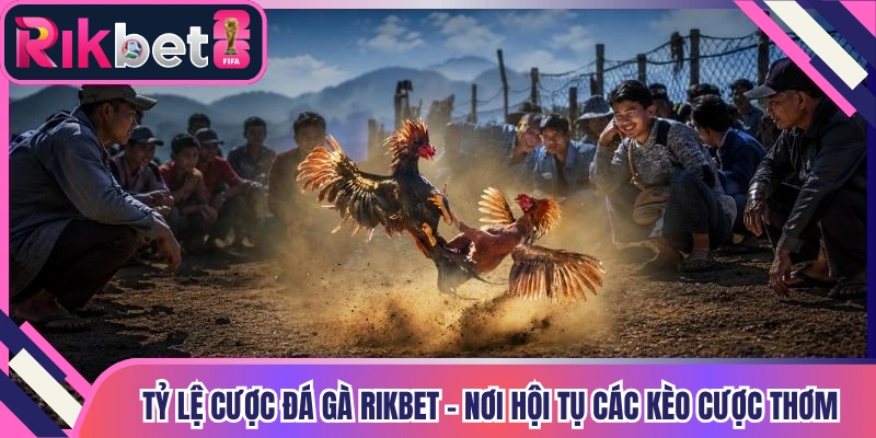 Tỷ Lệ Cược Đá Gà Rikbet - Nơi Hội Tụ Các Kèo Cược Thơm