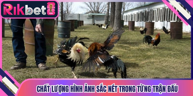 Chất lượng hình ảnh sắc nét trong từng trận đấu