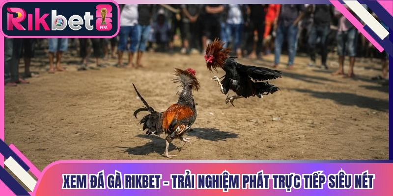 Xem Đá Gà Rikbet - Trải Nghiệm Phát Trực Tiếp Siêu Nét