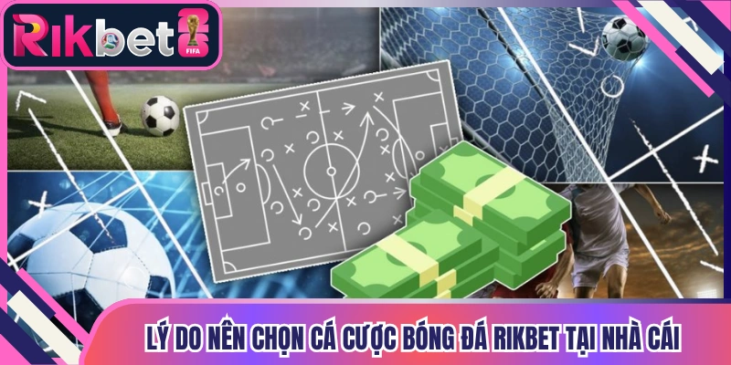 Lý do nên chọn cá cược bóng đá Rikbet tại nhà cái