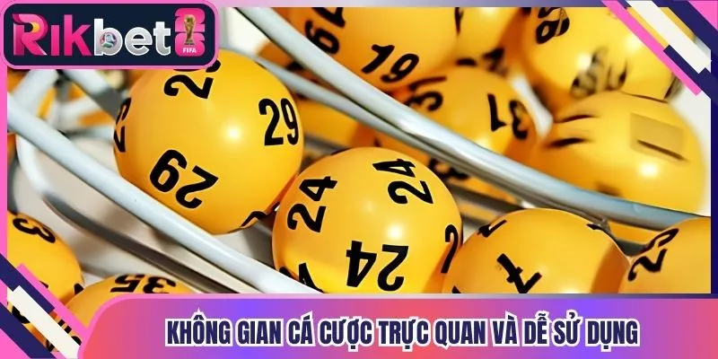 Không gian cá cược trực quan và dễ sử dụng